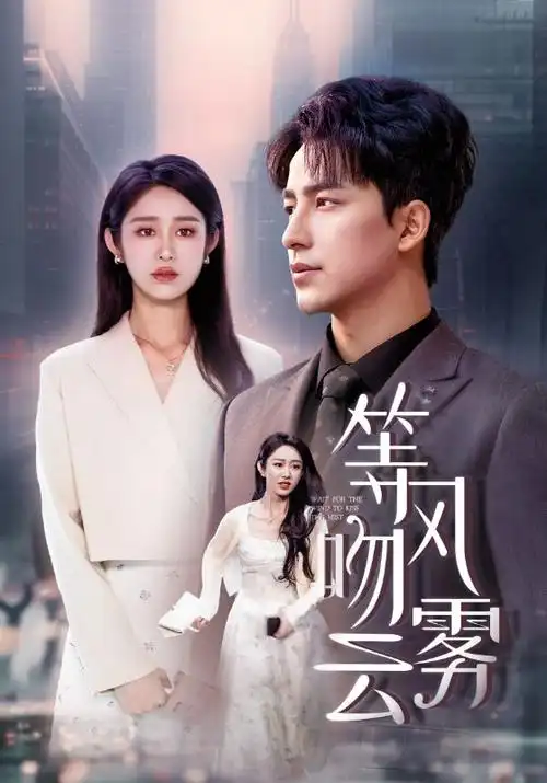 咪咕影视悬疑剧《雾港追凶》海报